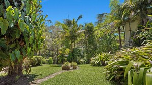 A lush garden with a variety of tropical plants and a well-maintained lawn.