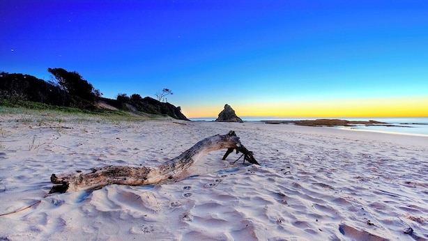 A beach with a large fallen tree in the foreground, a rocky outcrop in the distance, and a clear sky.
