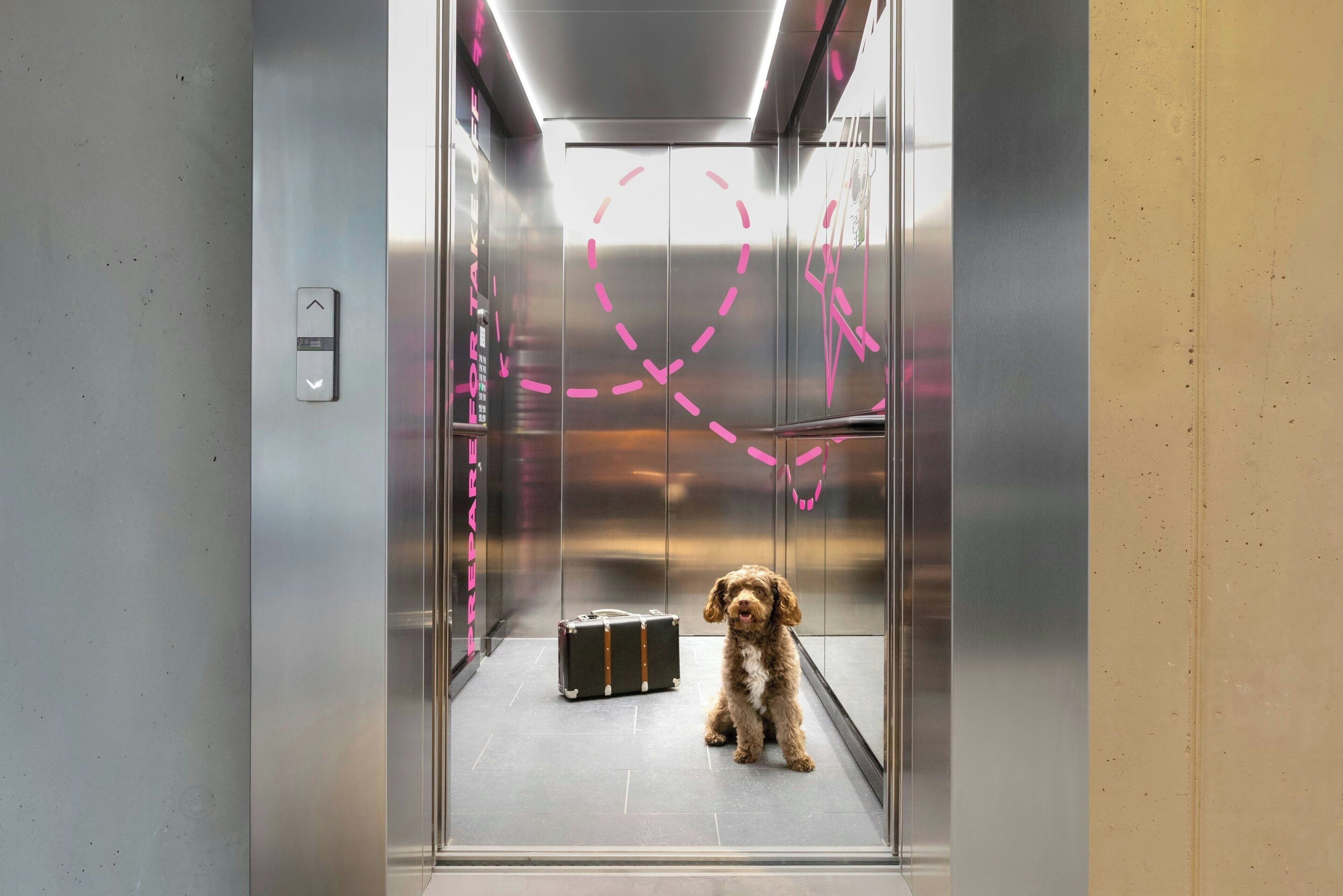 Foto - Moxy Hamburg - Finkenwerder