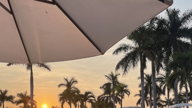 Una terrazza in legno con piscina, palme e ombrelloni.
