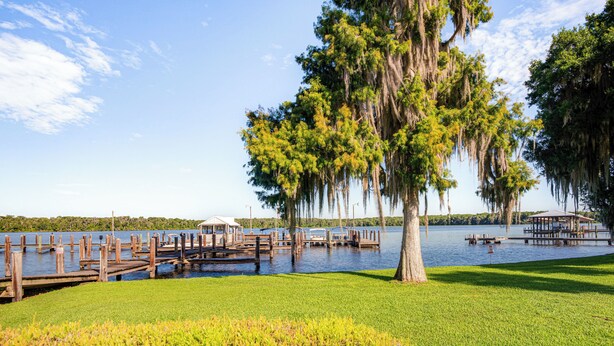 A lakeside park with wooden docks, a gazebo, and a large tree with hanging moss. - River-View Condo w/ Boat Slip in Welaka! (Welaka)