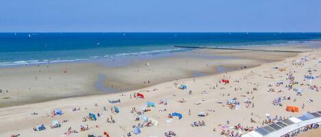 Vlak bij het strand, vissen