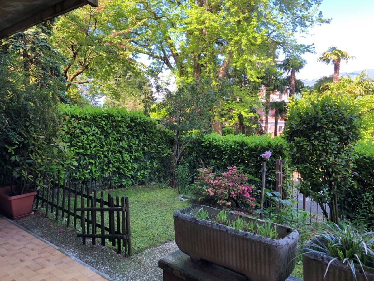 Un jardín con valla de madera, maceta de piedra y varios arbustos.
