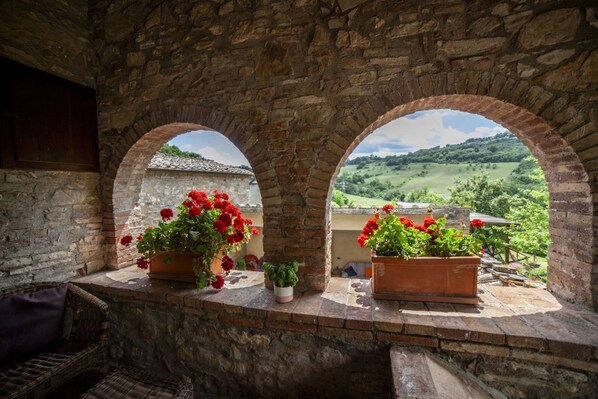 Property grounds - Villa Delogu by MMega (Radicondoli)