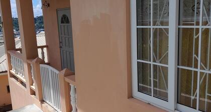 A private, classy 3- bedroom, apartment, A/C, free parking, Netflix, and Wifi,