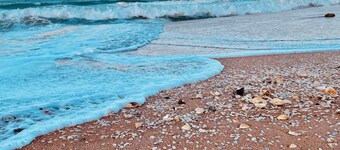 Spacious and charming beach cottage close to everything your vacation desires!