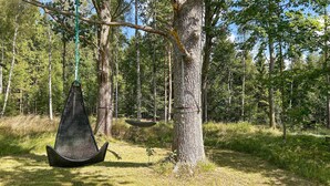 En hængekøje spændt ud mellem træer i et skovområde.