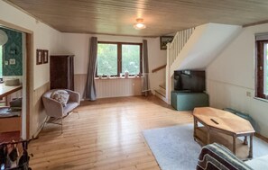 Smart-TV, Kamin