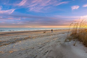 Beach nearby - Gorgeous IOP Home, Second Row, Private Pool! (Isle Of Palms)