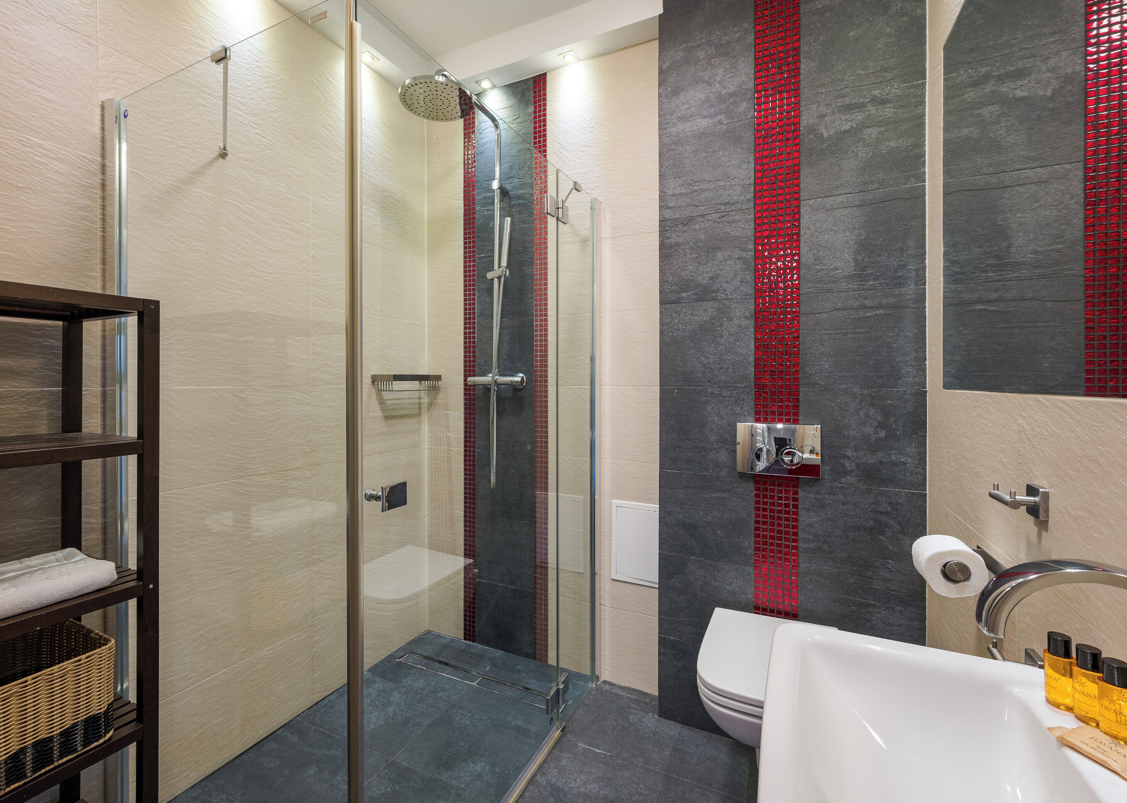 Une salle de bain moderne avec une douche à parois de verre, des toilettes et un lavabo équipé de produits de toilette.