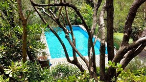 Una piscina rodeada de árboles y follaje.