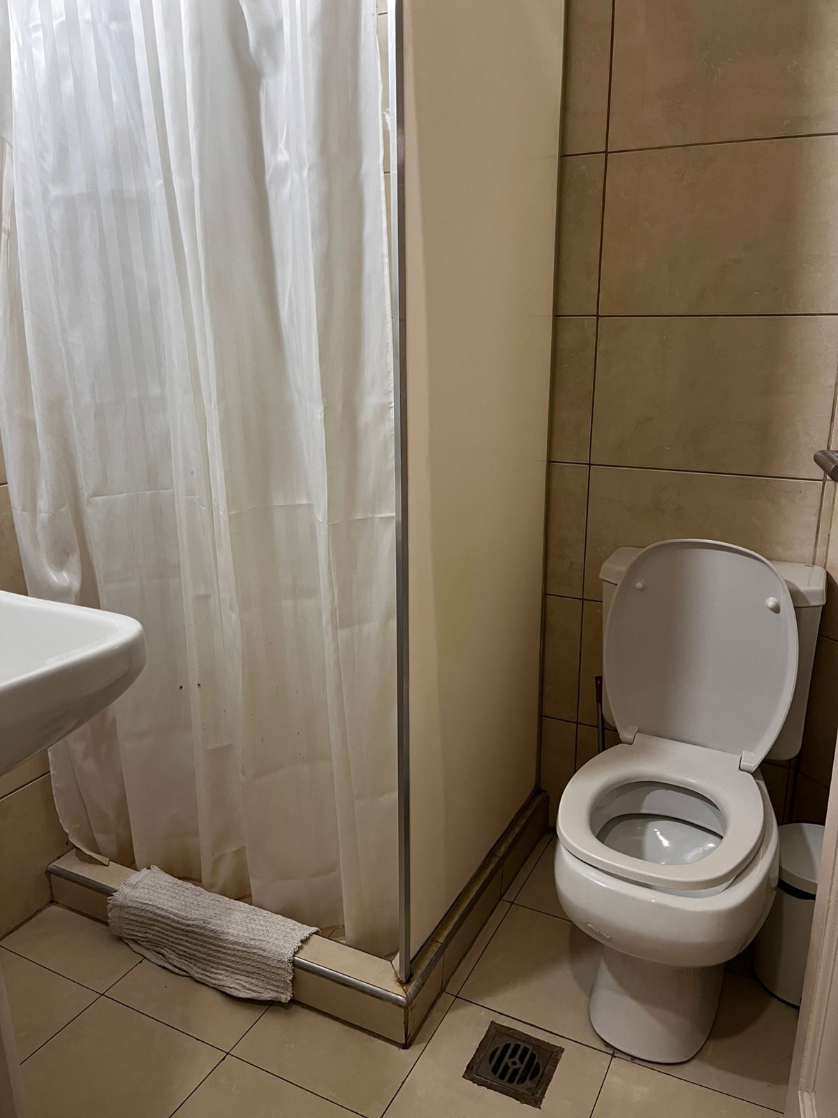 A bathroom with a toilet, a sink, and a shower curtain.