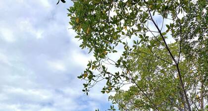 Cozy house close to the beach and river.