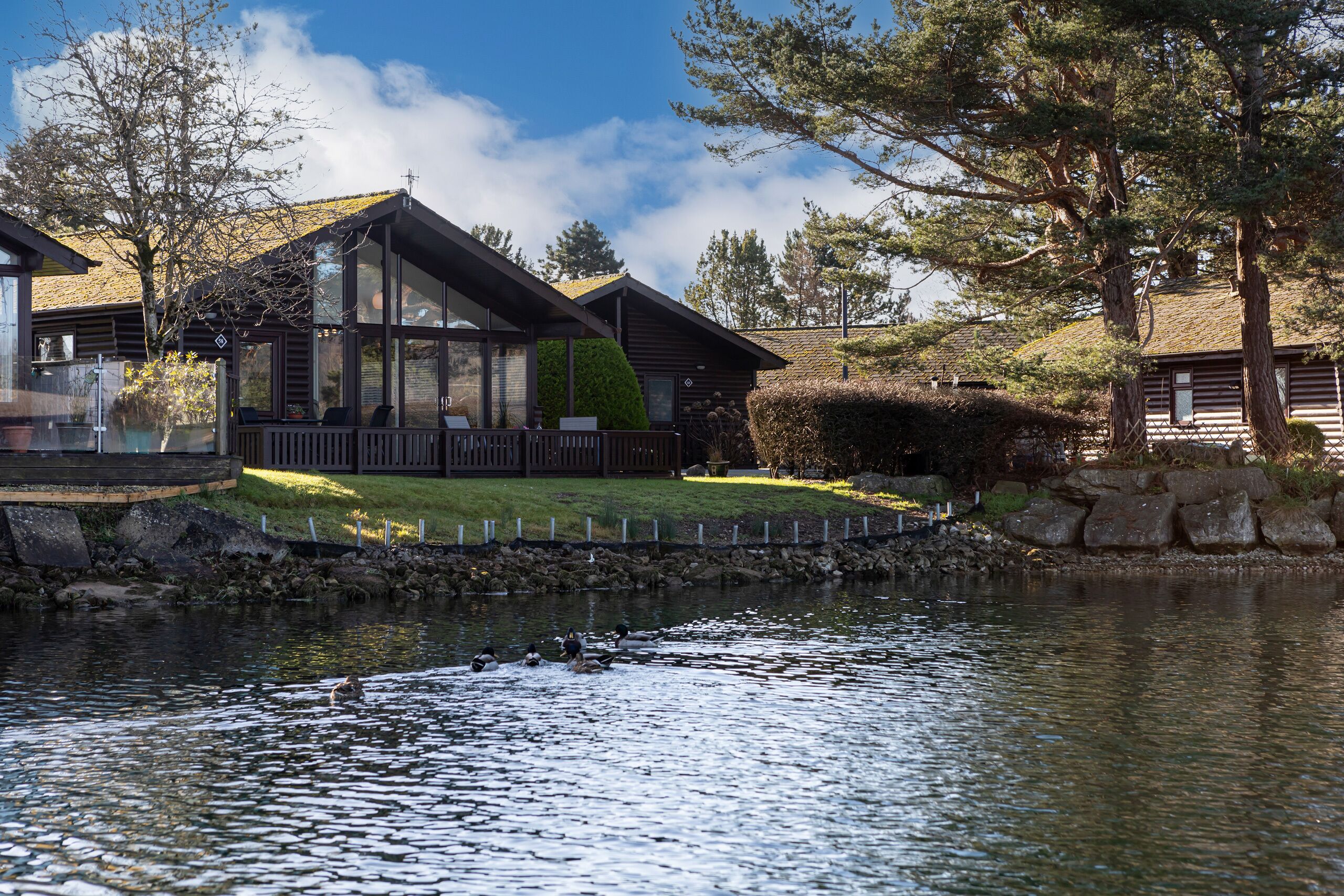 A lakeside cabin with a deck, a small pond, and surrounding trees.