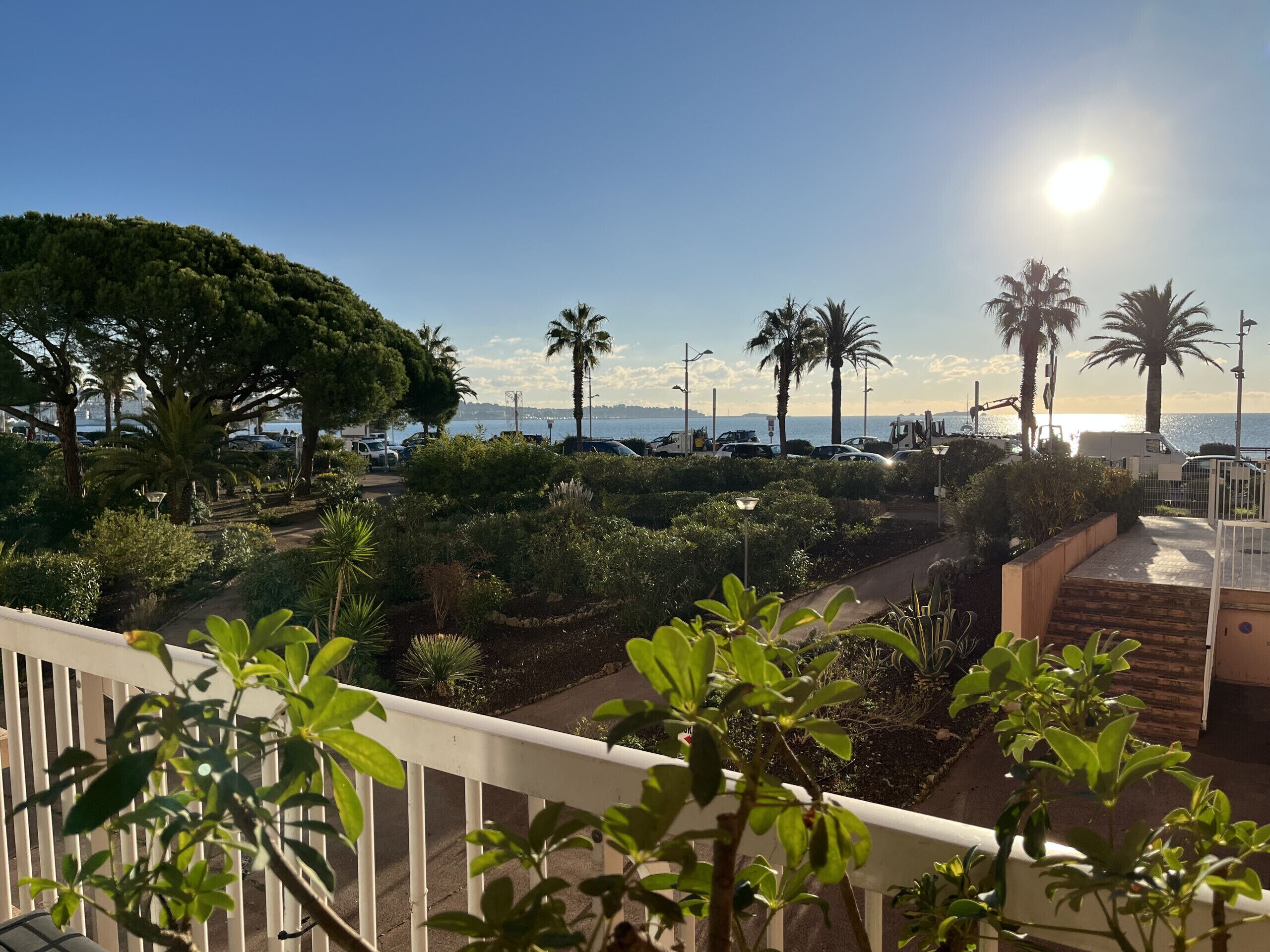 A coastal view with a paved pathway, palm trees, and parked vehicles.