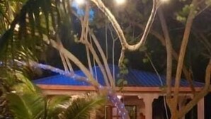A beachside building with a blue roof, surrounded by palm trees and a sandy path leading to it. - Finca Beach House (Placencia)