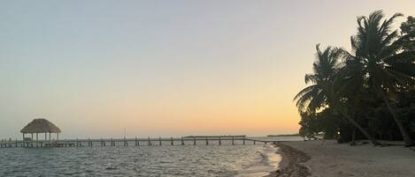 A beach with a wooden pier extending into calm waters, a thatched-roof structure, and palm trees.