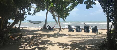 Facciata della struttura