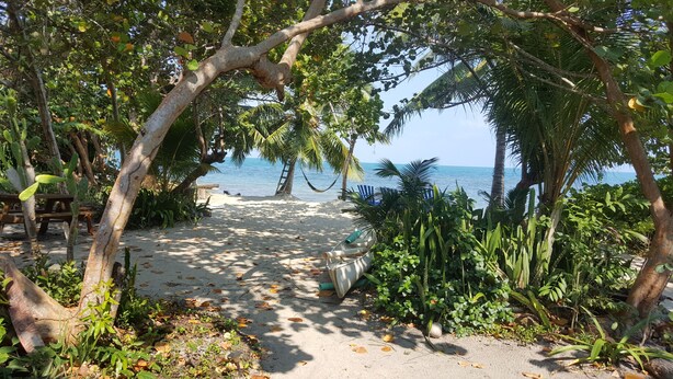 A beach path leading to a hammock and chairs overlooking the sea, surrounded by lush greenery. - Finca Beach House (Placencia)