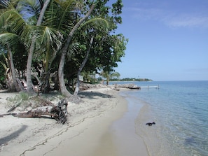 Front of property - Finca Beach House (Placencia)