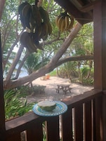 Estudio, junto a la playa | Terraza o patio