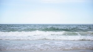 A beach with waves approaching the shore. - Sea Shells Studio @ The Blue Seas (Scamander)