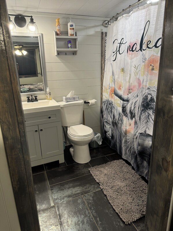 A bathroom with a toilet, sink, mirror, and shower curtain. - Peaceful cabin retreat to enjoy all the quiet & beauty nature has to offer. (Mansfield)