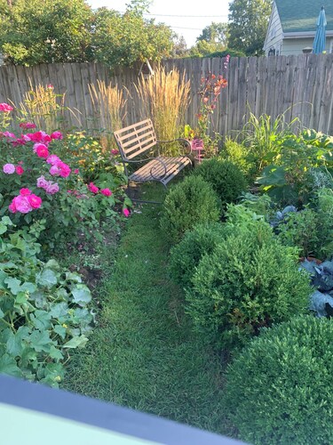 Winter cozy & stylish 1 BR bath office for solo traveler in shared home.