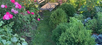 Quiet & stylish 1 BR, bathroom, office for solo business traveler in shared home