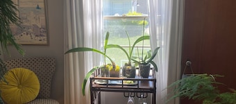 Summer cozy & stylish 1 BR bath office for solo traveler in shared home.