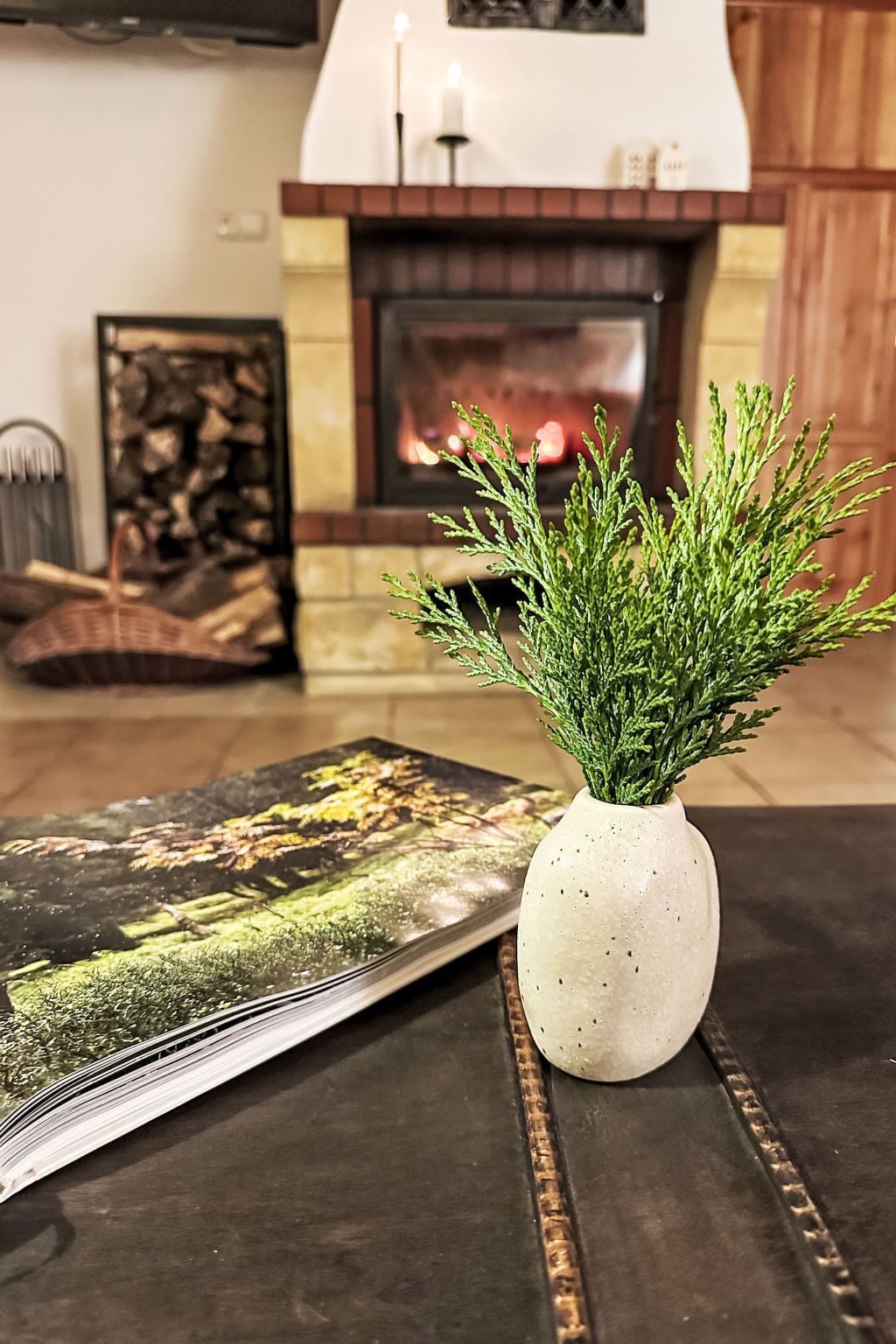 A living room with a fireplace, a white vase with green foliage, and a book on a table.