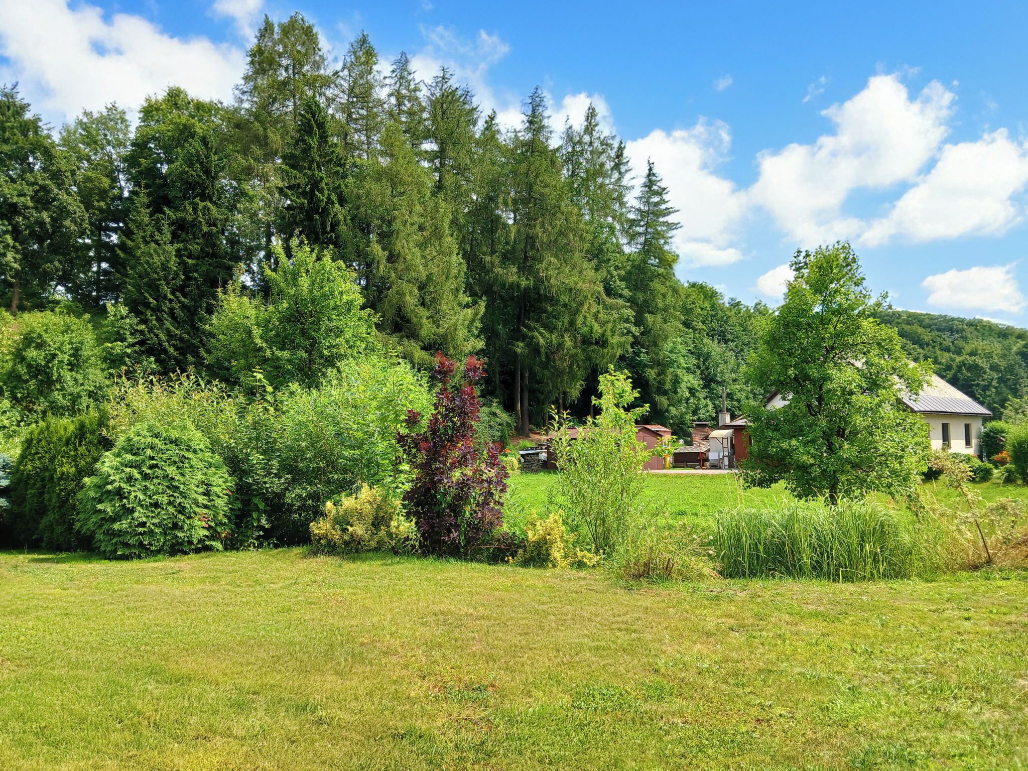A rural property with a large grassy field, dense trees, and a small building with a sloped roof.
