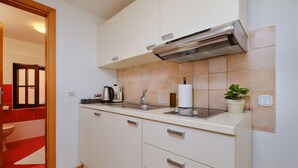 Une cuisine moderne avec des armoires blanches, une hotte de cuisinière en acier inoxydable, un évier et une plante en pot.