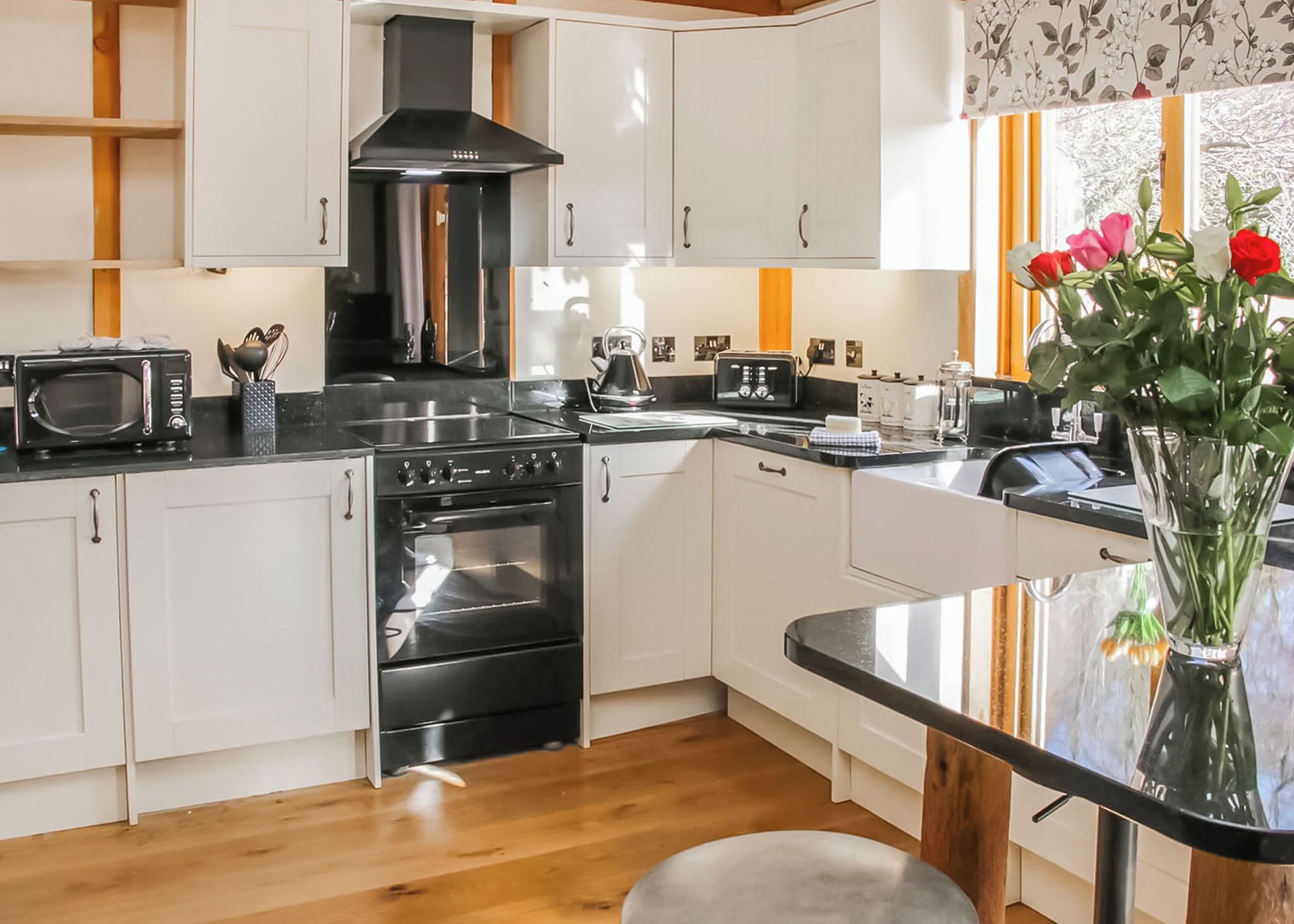 Fridge, oven, stovetop, toaster