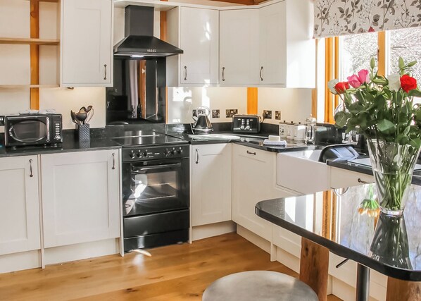 Fridge, oven, stovetop, toaster