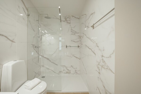 Douche, séchoir à cheveux, serviettes fournies, savon