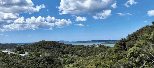 A coastal landscape with dense forest, a clear sky, and a distant view of a body of water.