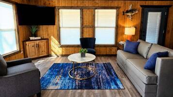 Smart TV, fireplace, books