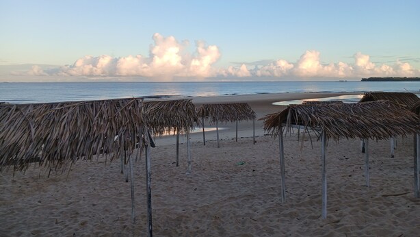 A beach with thatched umbrellas and a clear sky.
