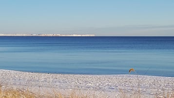 Vissen