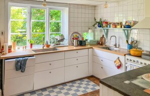 Fridge, oven, dishwasher, cookware/dishes/utensils