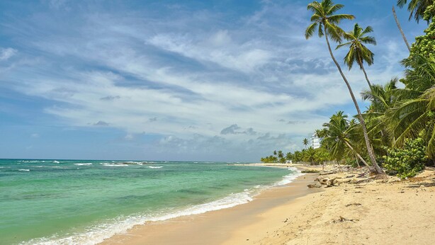 Ein Strand mit klarem türkisblauem Wasser, Sandstrand und Palmen.