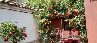 Serenity and cozines in the heart of the Old Town of Plovdiv historical reserve