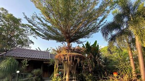 Une maison rustique en bois, surmontée d’un toit en métal, entourée d’une végétation tropicale luxuriante, notamment des palmiers et diverses plantes.