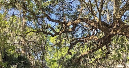 Cottage 33: Pineapple Place - Waterfront Lodging in Downtown Tavares, FL