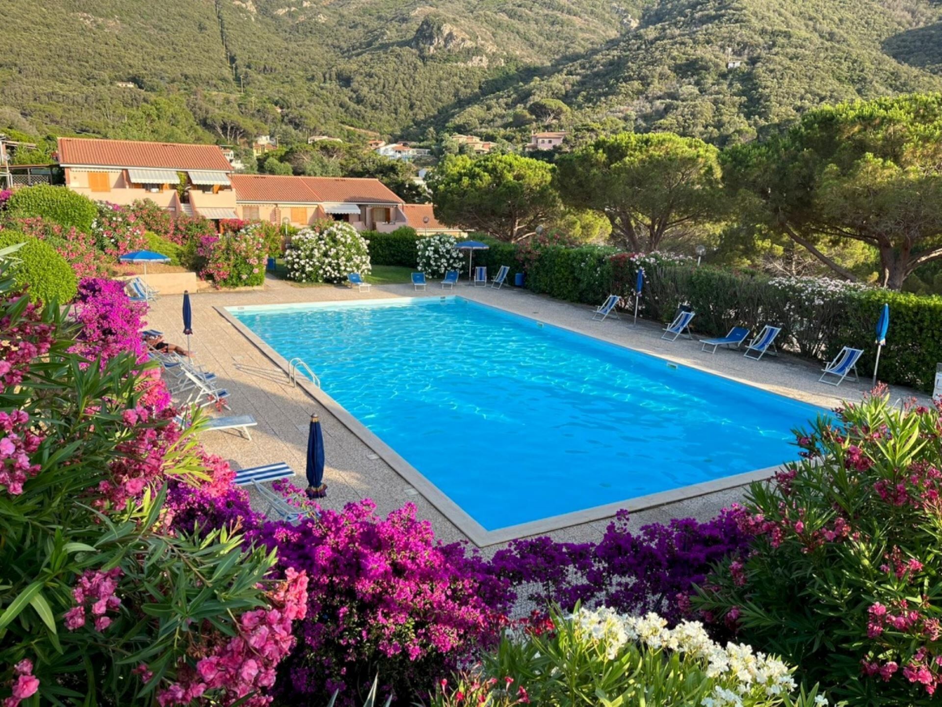 A rectangular swimming pool surrounded by vibrant flowers and a few lounge chairs.