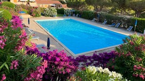 A rectangular swimming pool surrounded by vibrant flowers and a few lounge chairs. - Cala Rossa 40 Pool & Relax (Rio dell'Elba)