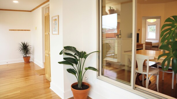A room with a wooden floor, a large window, and a potted plant. - The Maple Flat: high end 2-bedroom apartment in Blairsville (Blairsville)