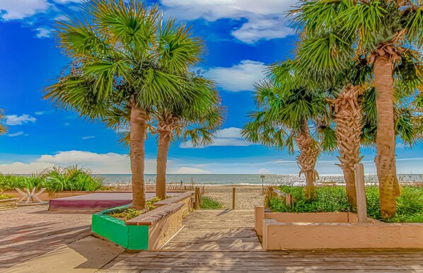 On the beach - Breath-taking Remodeled Oceanfront Studio! Sea Mist 20307 (Myrtle Beach)