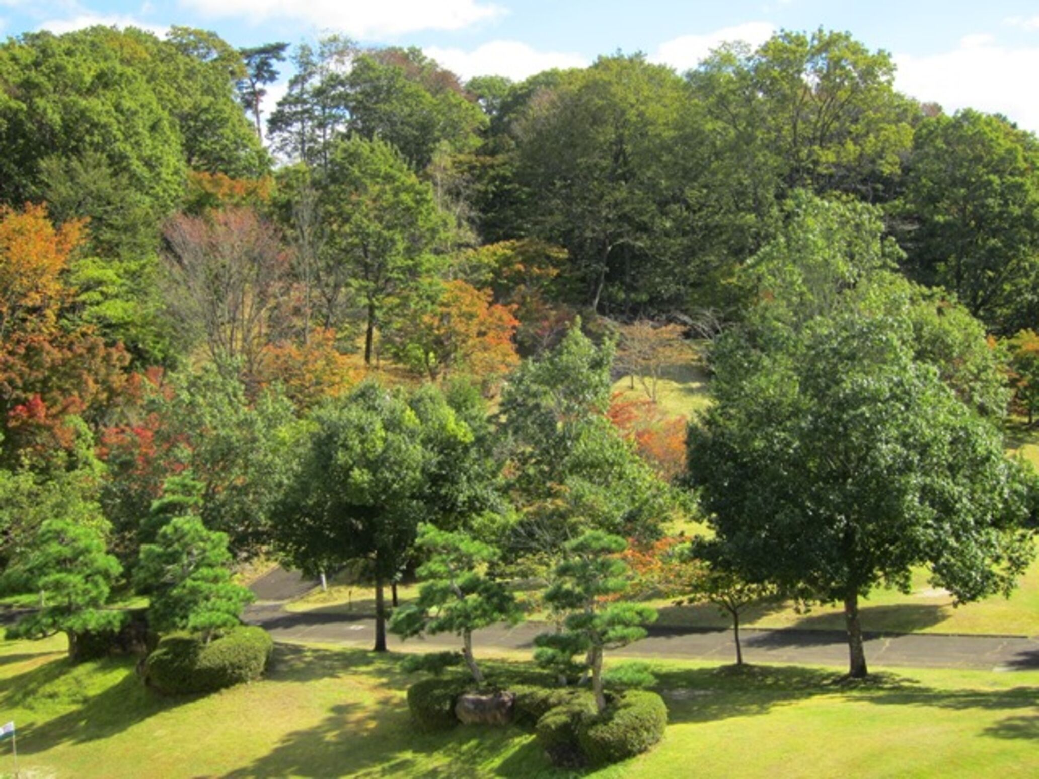 A park with various trees, including some with autumn foliage.